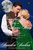 Transformed by a Christmas Star (Lords of the Night, #4.5) (eBook, ePUB)