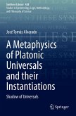 A Metaphysics of Platonic Universals and their Instantiations