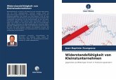 Widerstandsfähigkeit von Kleinstunternehmen