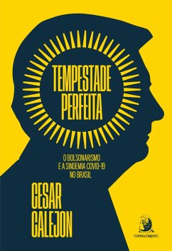 Tempestade perfeita (eBook, ePUB) - Calejon, Cesar