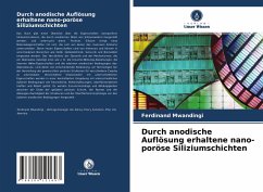 Durch anodische Auflösung erhaltene nano-poröse Siliziumschichten - Mwandingi, Ferdinand