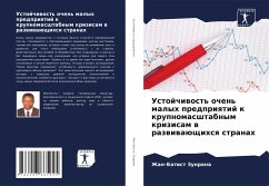 Ustojchiwost' ochen' malyh predpriqtij k krupnomasshtabnym krizisam w razwiwaüschihsq stranah - Zunrana, Zhan-Batist