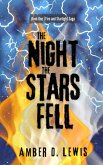 The Night the Stars Fell (Fire and Starlight Saga) (eBook, ePUB)