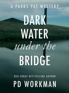 Dark Water Under the Bridge - Workman, P. D.