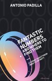 Fantastic Numbers and Where to Find Them (eBook, ePUB)