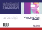 Efficiency of Fiscal Policy in Promoting GDP and Its Determinants Efficiency of Fiscal Policy in Promoting GDP and Its Determinants