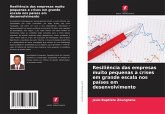 Resiliência das empresas muito pequenas a crises em grande escala nos países em desenvolvimento