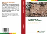 Determinação de patologias estruturais