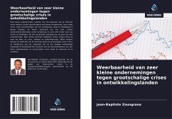 Weerbaarheid van zeer kleine ondernemingen tegen grootschalige crises in ontwikkelingslanden - Zoungrana, Jean-Baptiste