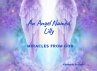 An Angel Named Lilly (eBook, ePUB) - Bild 1