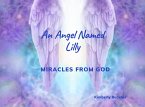 An Angel Named Lilly (eBook, ePUB)