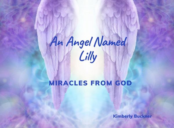 An Angel Named Lilly (eBook, ePUB)