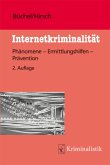 Internetkriminalität (eBook, ePUB)