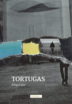 Tortugas (eBook, ePUB) - Caro, Diego