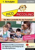 PICO-Piccolino / Klasse 1 (eBook, PDF)