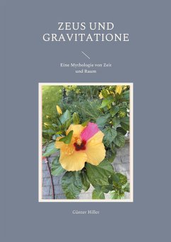 Zeus und Gravitatione (eBook, ePUB)