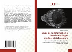 Etude de la déformation à chaud des alliages modèles nickel niobium - Matougui, Nedjoua