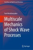 Multiscale Mechanics of Shock Wave Processes (eBook, PDF)