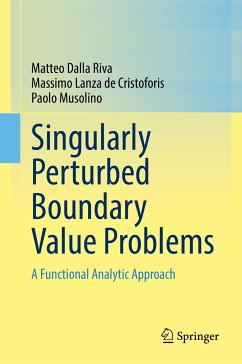 Singularly Perturbed Boundary Value Problems (eBook, PDF) - Dalla Riva, Matteo; Lanza de Cristoforis, Massimo; Musolino, Paolo