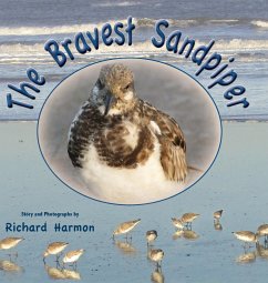 The Bravest Sandpiper - Harmon, Richard