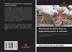 Wholemeal pumpkin flour as pigmenting agent in chickens