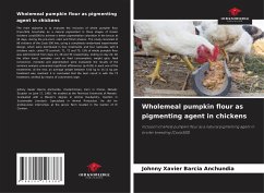 Wholemeal pumpkin flour as pigmenting agent in chickens - Barcia Anchundia, Johnny Xavier