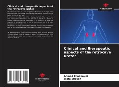 Cover Clinical and therapeutic aspects of the retrocave ureter