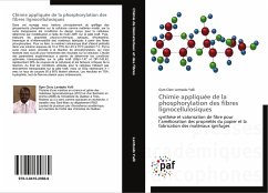 Chimie appliquée de la phosphorylation des fibres lignocellulosiques - Lentsolo Yalli, Gym Clerc