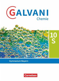 Galvani Chemie 10. Jahrgangsstufe. Ausgabe B - Bayern - Schülerbuch - Pistohl, Birger;Orlik, Isabell;Orlik, Frank