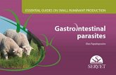 Essential guides on small ruminant farming : gastrointestinal parasites