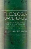 Theologia Cambrensis (eBook, ePUB)