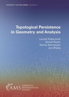 Topological Persistence in Geometry and Analysis - Polterovich, Leonid; Rosen, Daniel; Samvelyan, Karina