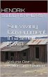 Surviving Government in a Small Town:... - Bild 1