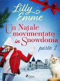 Un Natale movimentato in Snowdonia - parte 1 (eBook, ePUB)