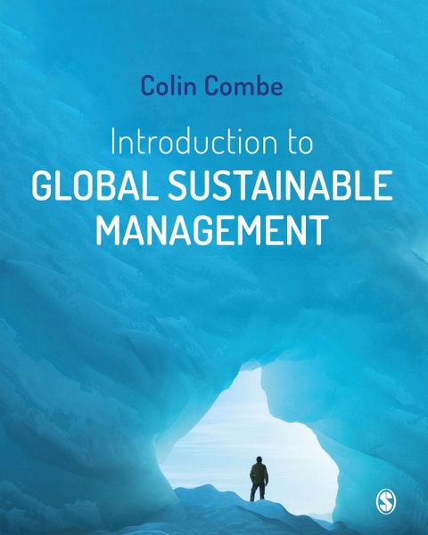 Introduction to Global Sustainable Management (eBook, ePUB)