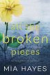 All The Broken Pieces - Bild 1