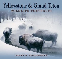 Yellowstone & Grand Teton Wildlife Portfolio (Sc) - Holdsworth, Henry H.