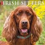 Just Irish Setters 2022 Wall Calendar (Dog Breeds)