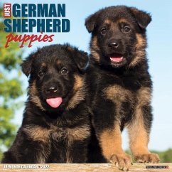 Just German Shepherd Puppies 2022 Wall Calendar (Dog Breed) - Willow Creek Press