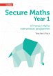 Secure Year 1 Maths Teacher's Pack - Bild 1