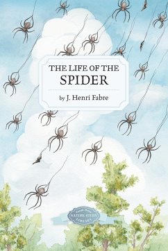 The Life of the Spider - Fabre, J Henri