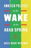 Amazigh Politics in the Wake of the Arab Spring