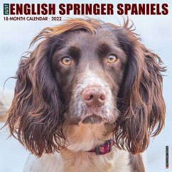 Just English Springer Spaniels 2022 Wall Calendar (Dog Breed) - Willow Creek Press