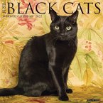 Just Black Cats 2022 Wall Calendar