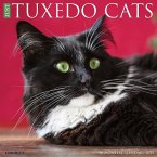 Just Tuxedo Cats 2022 Wall Calendar (Cat Breed)