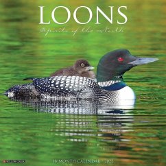 Loons 2022 Wall Calendar - Willow Creek Press