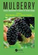 Mulberry - Bild 1