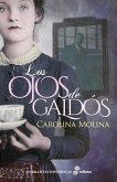 Los Ojos de Galdós