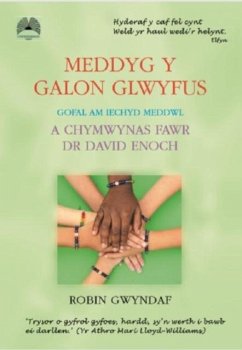 Cover Meddyg y Galon Glwyfus - Gofal am Iechyd Meddwl a Chymwynas Fawr Dr David Enoch