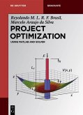 Project Optimization (eBook, PDF)
